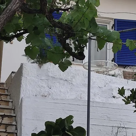 Blue And White 1 바니체스